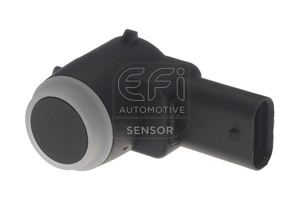 306030 EFI